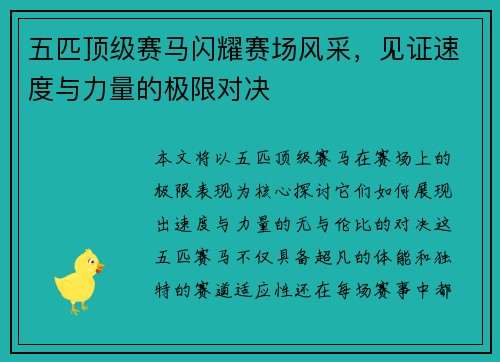 五匹顶级赛马闪耀赛场风采，见证速度与力量的极限对决